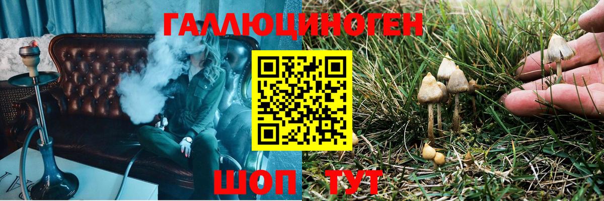 Псилоцибиновые грибы Psilocybine cubensis  Вход с VPN  Дмитров 